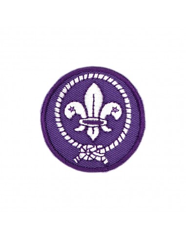 Ecusson Scout Mondial