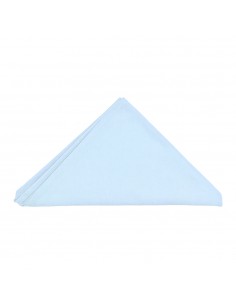 Foulard Fond Uni (Cliquez... 2