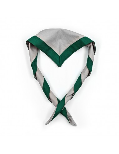 Foulard Fond Gris (Cliquez pour...